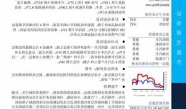 汽车周报，汽车周报范文！