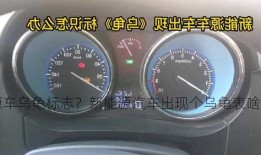 新能源车乌龟标志？新能源汽车出现个乌龟表啥意思？