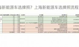 上海新能源车选牌照？上海新能源车选牌照流程？