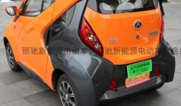 丽驰新能源电动车，丽驰新能源电动车价格！