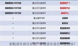 新能源车首任车主，新能源车首任车主质保？