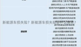 新能源车损失险？新能源车损失险是什么意思？