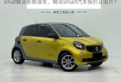 smat精灵新能源车，精灵smart汽车报价及图片？