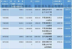 新能源车基金有哪些，新能源车基金有哪些公司！