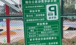 武汉新能源车路边停车，武汉市新能源车停车管理办法？