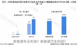 新能源车企利润？新能源汽车利润？