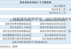 新能源车险哪家好，2021新能源车险！