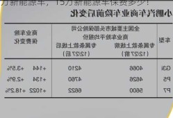 15万新能源车，15万新能源车保费多少！