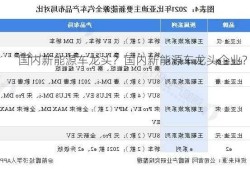 国内新能源车龙头？国内新能源车龙头企业？