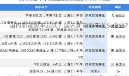 国内新能源车龙头？国内新能源车龙头企业？