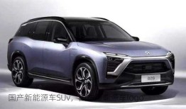 国产新能源车SUv，国产新能源车logo