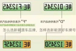 怎么选新能源车品牌，怎样选新能源好车牌号