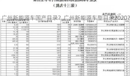 广州新能源车国产目录？广州新能源车型目录2020？