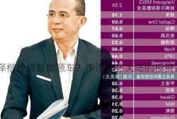 李泽楷投资新能源车？李泽楷在大陆的投资？