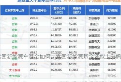 富国新能源车基金如何，富国新能源基金还能上升吗？