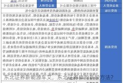 东北证券新能源车艾，东北证券申购新股方法？