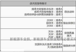 新能源车全损，新能源车全损全赔有必要买吗