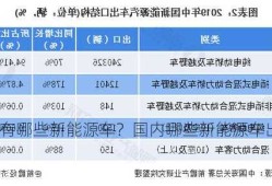 国内有哪些新能源车？国内哪些新能源车出口？