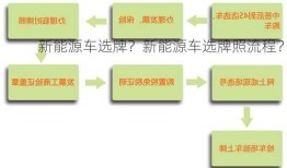 新能源车选牌？新能源车选牌照流程？