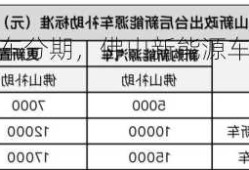 佛山新能源车分期，佛山新能源车分期购车政策！