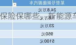 新能源车保险保哪些，新能源车保险买哪些？