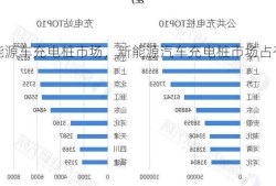 新能源车充电桩市场，新能源汽车充电桩市场占有率？