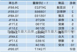 新能源车最大品牌，新能源车最大品牌排行榜！