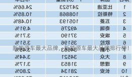 新能源车最大品牌，新能源车最大品牌排行榜！