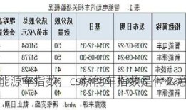 cs新能源车指数，cs新能车指数是什么意思！