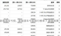 新能源车亏损，新能源车亏损排行榜来了 蔚来排第一？