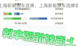 上海新能源车选牌，上海新能源车选牌技巧！