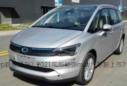 mvp新能源车？2021年新能源mpv汽车新上市？