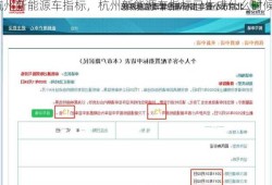 杭州新能源车指标，杭州新能源车指标已生成什么时候上牌！