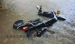 新能源车能够淋雨吗，新能源车能泡水吗？