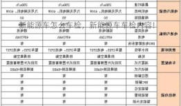 新能源车怎么车检，新能源车车检内容！