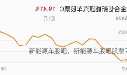 新能源车股吧，新能源车股吧股票？