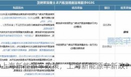 2020上海新能源车政策，上海新能源车新政？