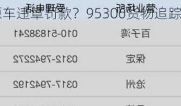 新能源车违章罚款？95306货物追踪查询官网？