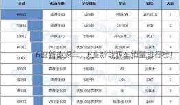 6座新能源车，6座新能源车销量排行榜！