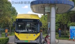 上海公交wok新能源车，上海公交新能源化！