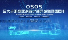 中国新能源车大会？新能源大会2020？