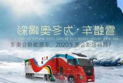 东奥会新能源车，2020东奥会新增项目？