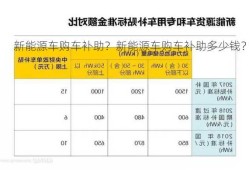 新能源车购车补助？新能源车购车补助多少钱？