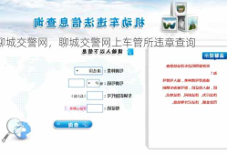 聊城交警网，聊城交警网上车管所违章查询