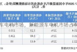 新能源车电机市场，新能源车电机市场占有率