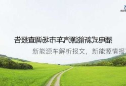 新能源车解析报文，新能源情报？