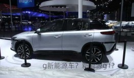 g新能源车？新能源g f？