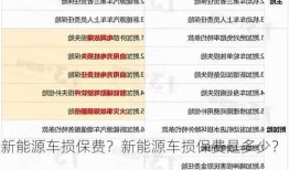 新能源车损保费？新能源车损保费是多少？