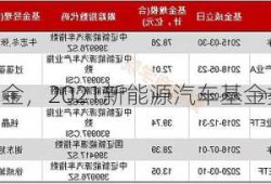 全球新能源车基金，2021新能源汽车基金排行前十名基金？