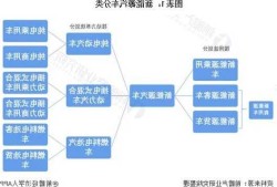 商用新能源车和乘用新能源车，新能源商用车与乘用车的区别